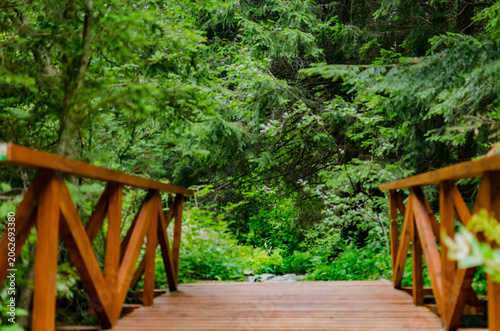 Foto « Exploration photographique de paysages naturels et patrimoniaux, entre forêts,