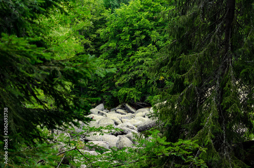 Foto « Exploration photographique de paysages naturels et patrimoniaux, entre forêts,