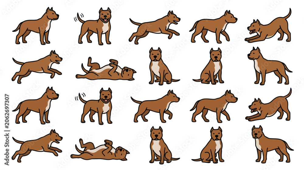 Obraz premium Set of Pitbull Dog Poses, Cartoon Style, Isolated on White Background