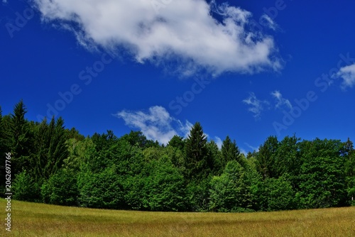 Sommerlandschaft mit Wald und Wiese Nähe Semmering