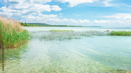 Hungary, Lake Balaton, view of the green reeds and hills above the water on a sunny summer day.