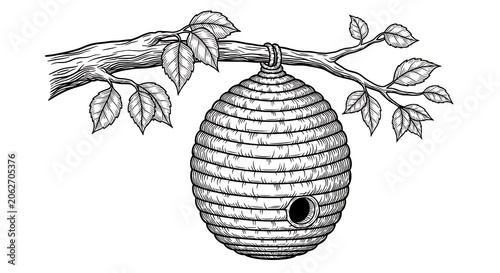 Detailed hand drawn beehive hanging on tree branch with illustration, wildlife