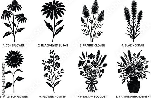 Valokuva Wildflower vector silhouette icon set featuring coneflower sunflower black-eyed