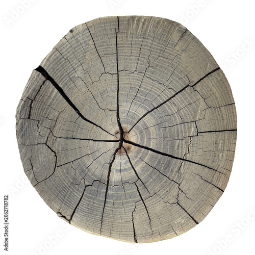 Gray wood stump cross section with radial crack PNG transparent background
