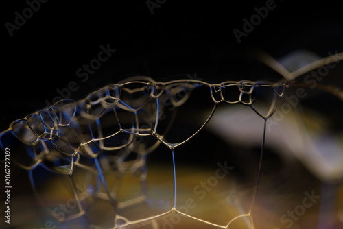 Scientific macro photography capturing a complex cluster of interconnected clear liquid cells. Intricate geometric membranes and fine transparent walls form an architectural foam structure