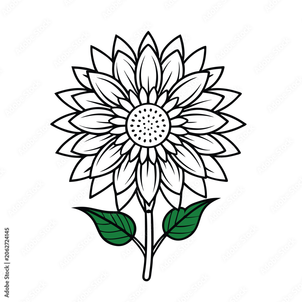 Fototapeta premium Stylized Sunflower Line Drawing with Black Center and Green Leaves