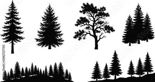 Pine Tree Silhouette Set with Evergreen Conifer and Forest Element Vectors for Nature Landscape Designs, Outdoor Adventures, Camping Graphics, and Woodland Backgrounds