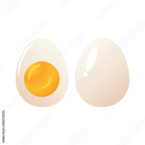 An illustration of a whole egg and a halved egg with a visible yolk on a white background
