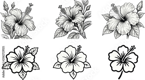 Foto Hibiscus flower vector illustration set featuring detailed hand-drawn sketches a