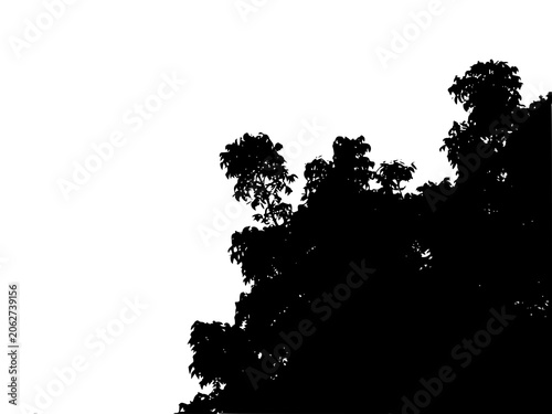 Black tree silhouette isolated on white background with copy space