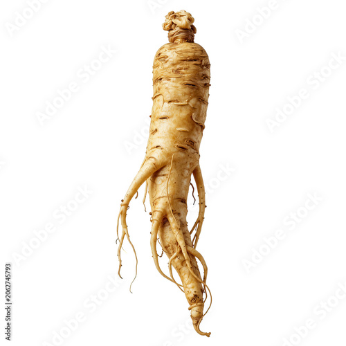 Ginseng Root Transparent Background