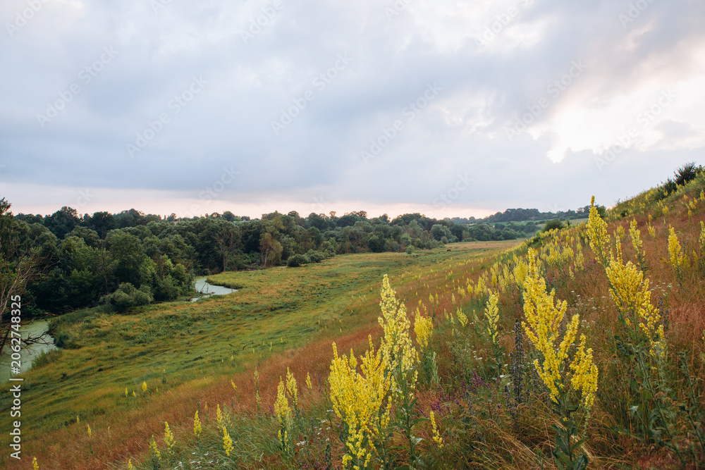 Fototapeta premium Wildflowers blooming on hillside overlooking a winding river