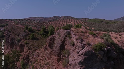 Drone footage sweeping sideways past a sun-scorched rock escarpment to expose regimented olive rows climbing a terracotta hillside under a pale summer sky above.