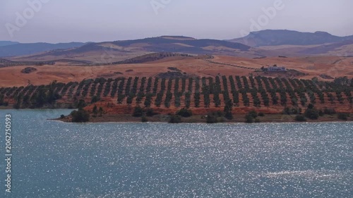 Drone footage ascending sideways with telephoto compression over El Chorro's reservoir, locking onto regimented olive rows climbing a sun-baked hillside against rolling ochre plains.