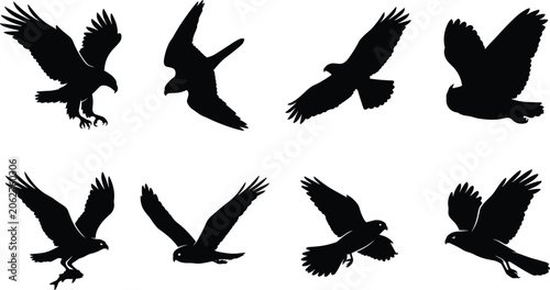 Slika na platnu Eagle and hawk silhouettes set isolated on white background featuring flying pre