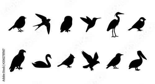 Bild auf Leinwand Diverse Bird Silhouettes Collection, Vector Icons Set, Avian Wildlife Graphics,