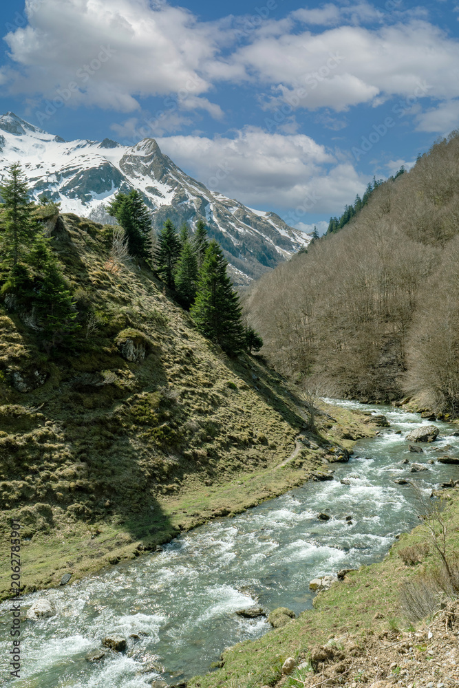 Obraz premium Snowy mountains overlook a fast-flowing river winding through grassy hillsides