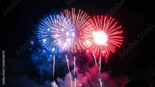 Colorful fireworks exploding overhead against dark night sky.