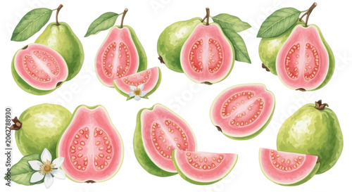 Pink guava fruit collection with whole pieces and juicy slices