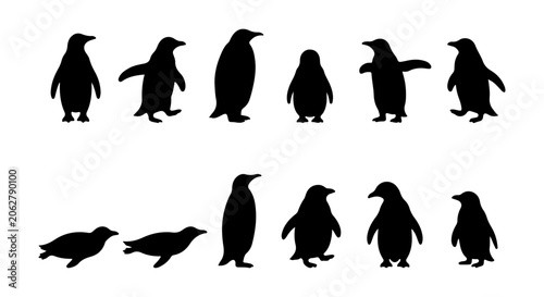 Penguin Silhouettes Collection: Diverse Poses Vector Set, Black and White Wildlife Icons