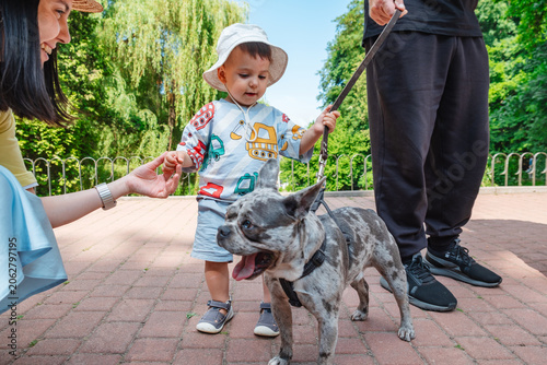 Toddler holding a leash with a French bulldog in a sunny park while parents supervise