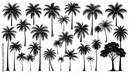 Collection of diverse palm tree silhouettes and a large tree, tropical flora design elements