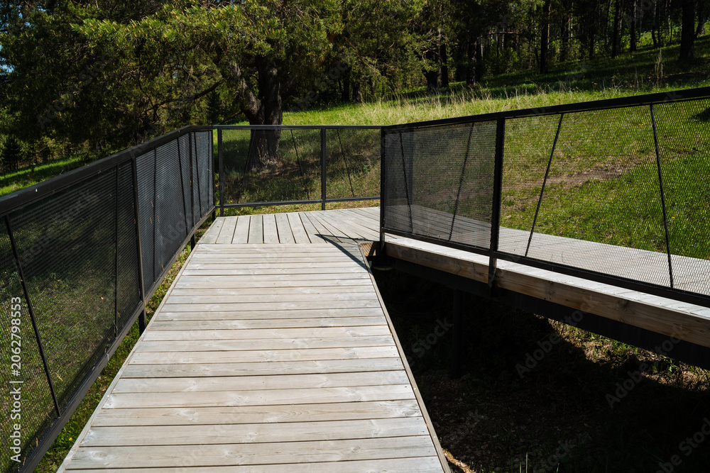 Fototapeta premium Path with gentle curves and safety features. Inclusive outdoor route with safety rails and natural scenery. Elevated walkway featuring mesh barriers and surrounded by trees and light
