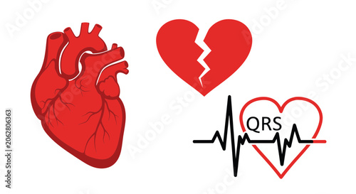 Medical anatomical heart broken heart and ecg rhythm icons