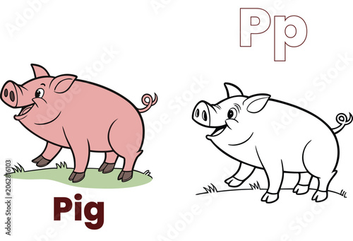 A to Z Wildlife Illustration Coloring Page for Children - Latter - P