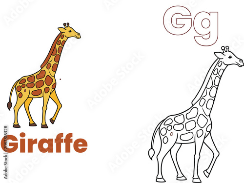 A to Z Wildlife Illustration Coloring Page for Children - Latter - G