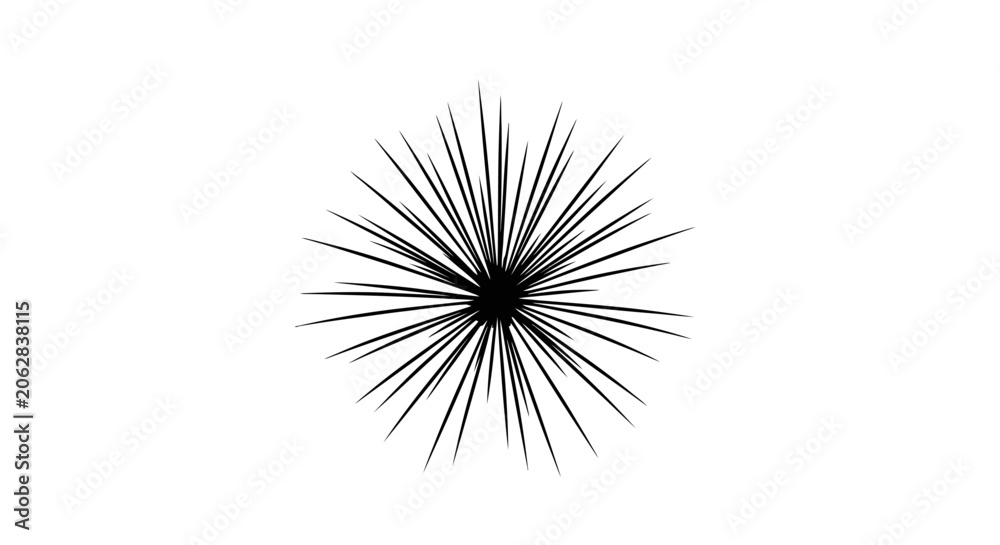 Obraz premium 4th July, Independence day of America. Black burst, explosion, dynamic lines, abstract vector icon isolated on White Background vector