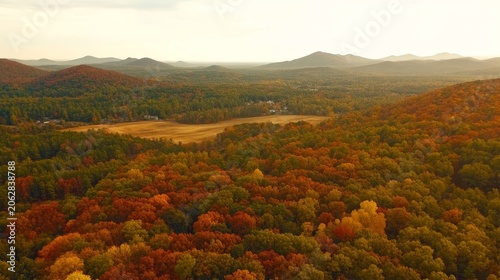 Expansive aerial view of a deciduous forest displaying vibrant autumn foliage with rolling hills in the distance