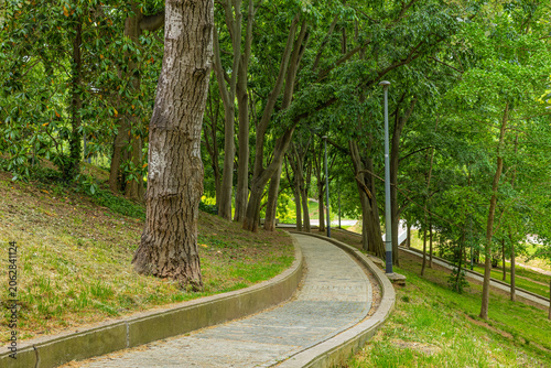 Foto Sendero curvo rodeado de árboles en el Parque de Vallparadís, Terrassa