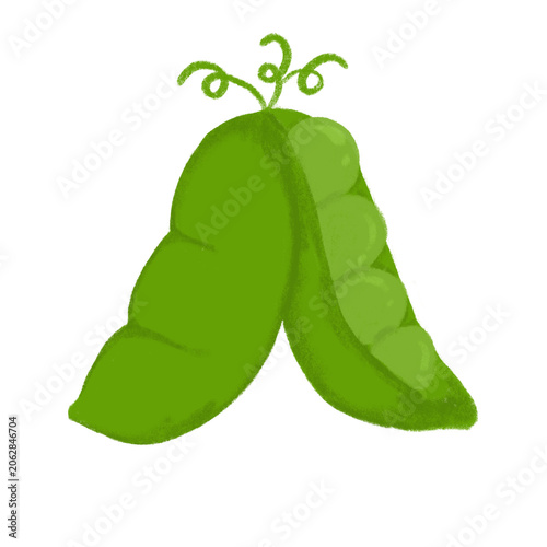 Peas pencil drawing illustration