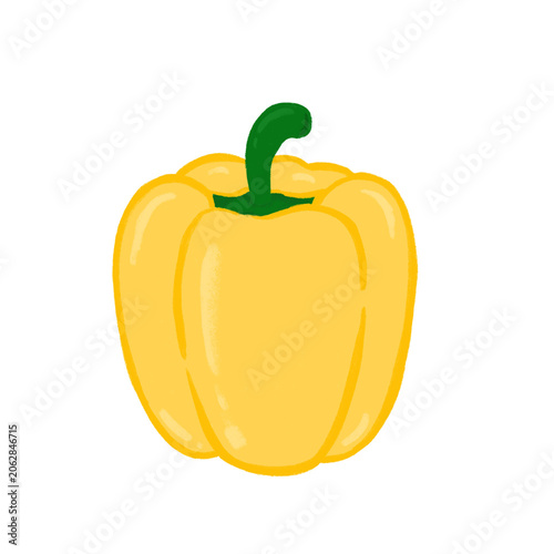 Bell pepper pencil drawing illustration