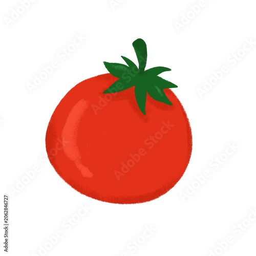 Tomato pencil drawing illustration