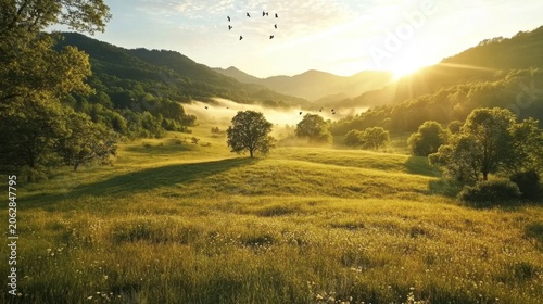 Golden spring sunrise illuminates rolling hills covered in mist with a lone tree casting a shadow