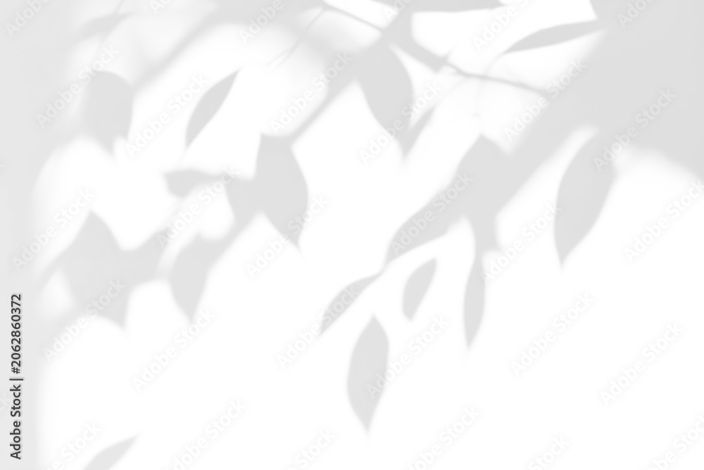 Obraz premium shadow overlay effects of realistic abstract natural tree leaves shadow on wall background,Summer sunlight dappled shadow overlay effect,abstract branch shadow.plant and flower shadow