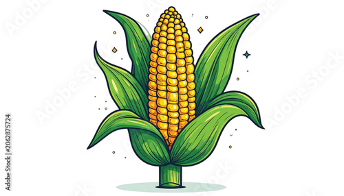 Yellow corn on the cob vegetable.