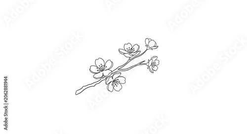 Minimalist cherry blossom branch line art on white background