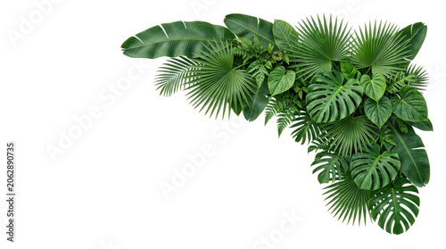 Tropical Leaf Corner Border Vector Exotic Botanical Foliage with Monstera and Palm Leaves