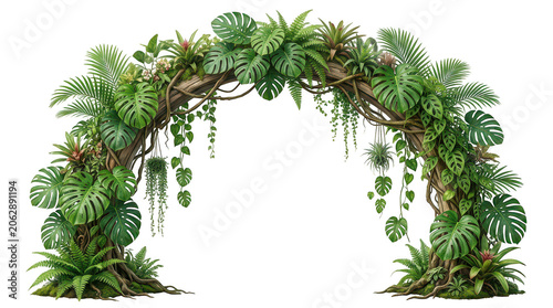 Tropical Jungle Arch Frame Vector Exotic Botanical Border with Monstera Leaves and Hanging Vines