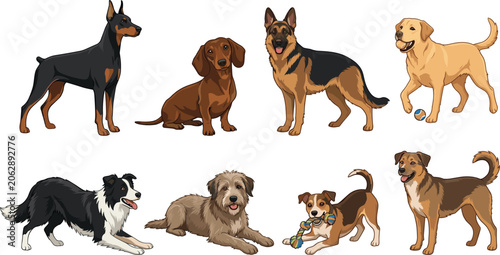 Foto Domestic Dog Breeds Vector Collection Featuring Working Companion and Family Dog