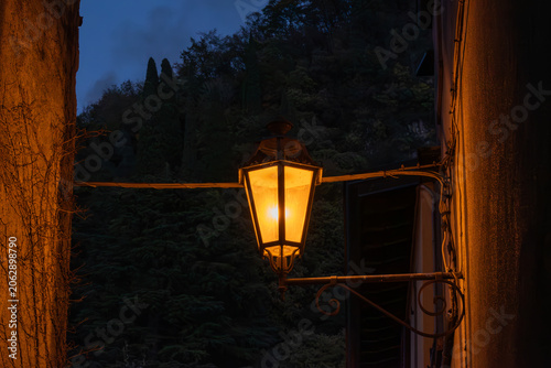 A vintage street lamp casts a warm, inviting glow amidst the encroaching twilight, illuminating a narrow alleyway framed by weathered walls and lush, dark foliage