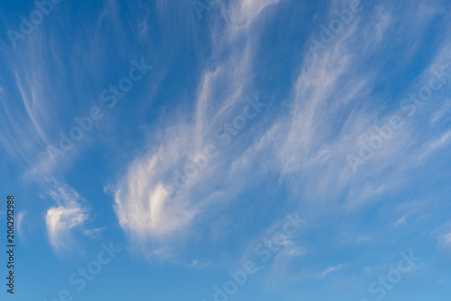 Sunset sky with beautiful clouds. Nature sky background.