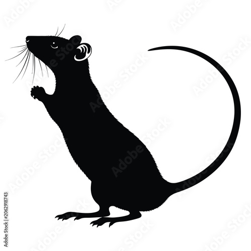 Black silhouette of a rat.