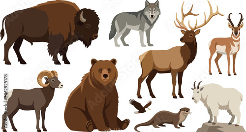 Fotografie North American Wildlife Collection Featuring Bison Wolf Bear Elk Mountain Goat R