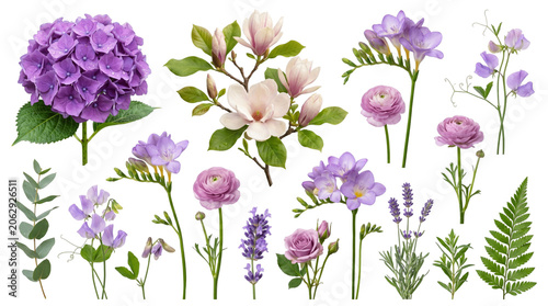 Collection of Various Purple and Pink Flowers and Greenery.