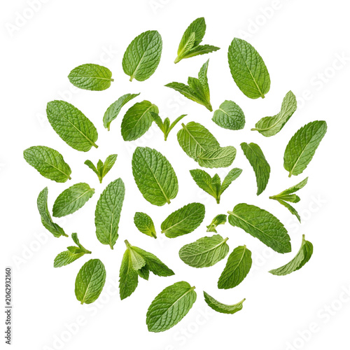 Fresh Mint Leaves Arranged in a Circular Pattern.