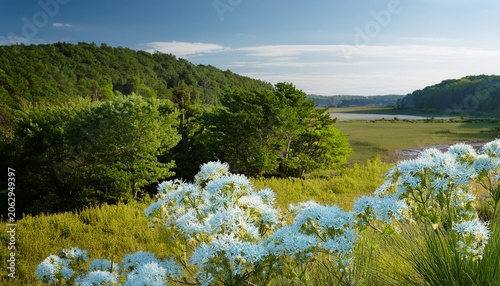 pale blue gree flo patt